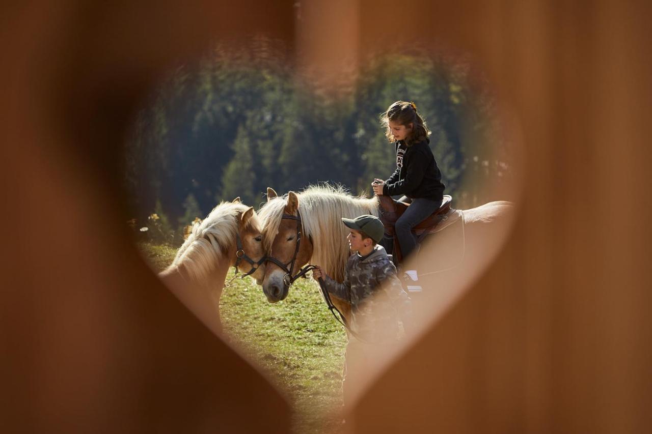 Sotciastel Antico Chalet Badia  Luaran gambar