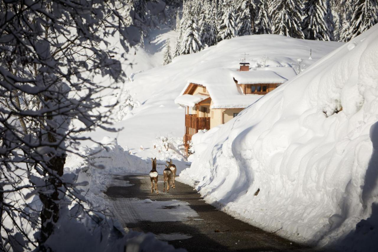Sotciastel Antico Chalet Badia  Luaran gambar